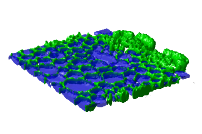 Life sciences